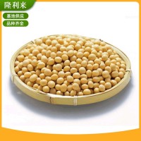 農(nóng)家自產(chǎn)大黃豆 五谷雜糧大黃豆 雜花豆 黃豆