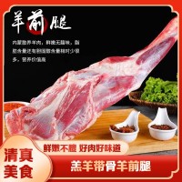 蒙譽(yù)廠家貨源錫盟草地羊內(nèi)蒙羔羊帶骨羊前腿 燒烤食材500g鮮羊腿