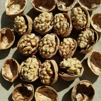 阿克蘇原味紙皮核桃薄殼散裝大果5斤裝新鮮新疆一級薄皮生核桃185