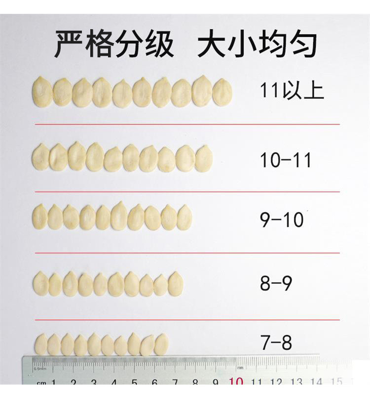西瓜仁_05.jpg