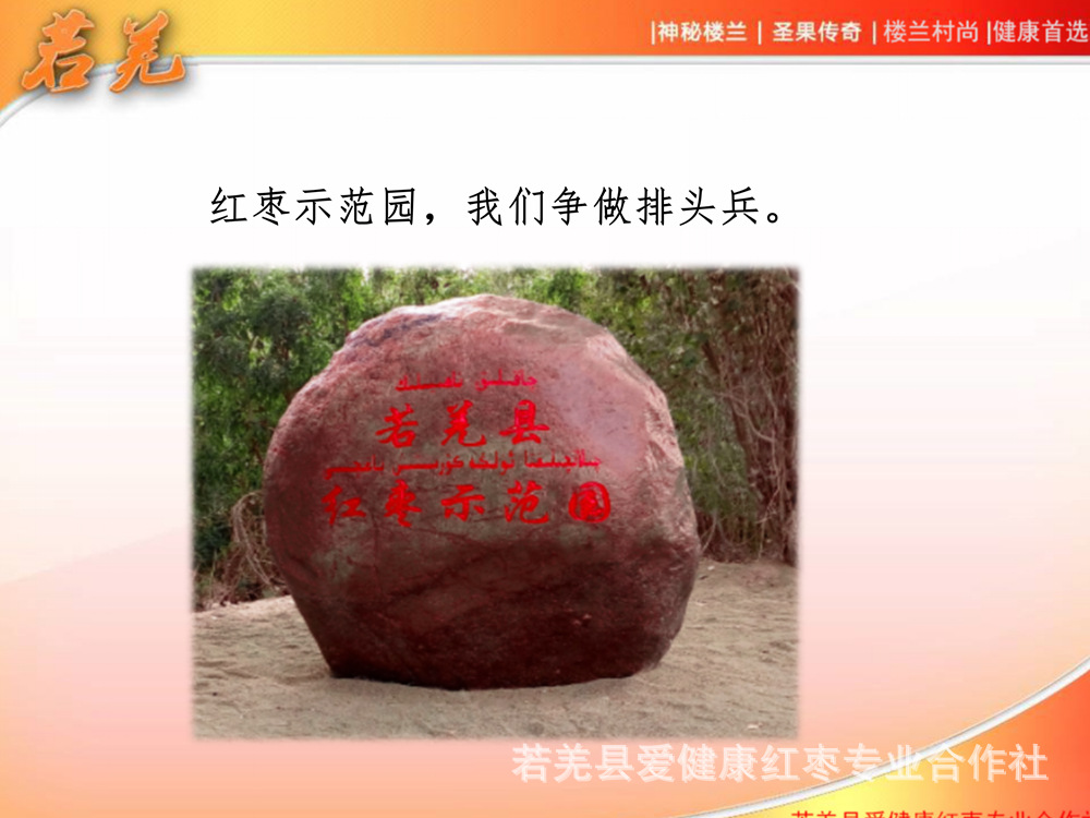 0樓蘭村尚紅棗宣傳_14.jpg