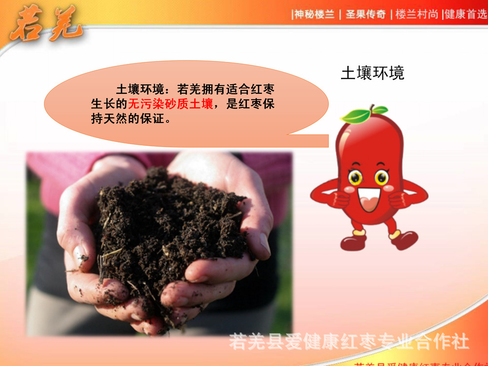 若羌紅棗宣傳_03.jpg