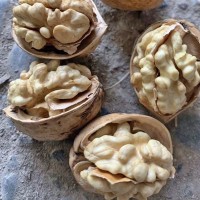 新貨新疆特產(chǎn)阿克蘇185紙皮核桃手剝大原味孕婦兒童堅果500g