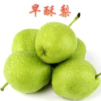 陜西早酥梨新鮮應(yīng)季水果青皮梨非彩虹梨庫爾勒酥梨子批發(fā)一件代發(fā)