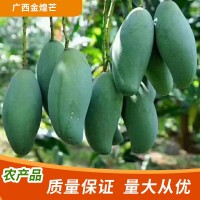 芒果批發(fā)廣西金煌芒新鮮當(dāng)季熱帶水果青芒果園直發(fā)