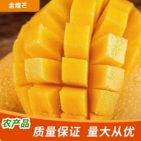 新鮮水果芒果海南金煌芒現(xiàn)摘樹上熟芒果香甜多汁當(dāng)季應(yīng)季產(chǎn)地直發(fā)