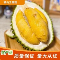 馬貓馬來貓山王榴蓮 新鮮水果冷凍保鮮帶殼榴蓮整個帶殼新鮮榴蓮