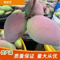 非樹上熟貴妃芒海南貴妃芒果新鮮水果當(dāng)季裝紅金龍?zhí)鹦臒釒Т竺⒐? onmouseover=