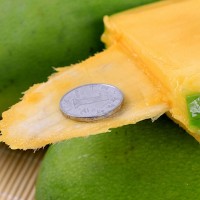 海南金煌芒當(dāng)季新鮮熱帶水果甜心芒水仙芒青芒大芒果批發(fā)一件代發(fā)