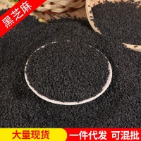 批發(fā)黑芝麻農(nóng)家自種生黑芝麻現(xiàn)貨袋裝可榨油磨粉黑芝麻五谷雜糧