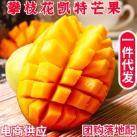 四川攀枝花凱特芒果一件代發(fā)大臉芒新鮮水果現(xiàn)摘凱特芒批發(fā)包郵