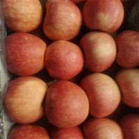 冷庫(kù)庫(kù)存紅富士蘋果 膜袋裝冰糖心果 時(shí)令大果 脆甜多汁 新鮮水果