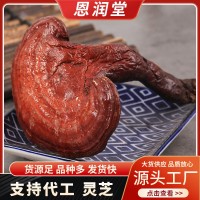批發(fā)長白山靈芝 中藥材紫靈芝散裝 東北靈芝個泡酒 源頭貨源批發(fā)