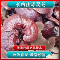 批發(fā)東北吉林長白山赤靈芝散裝靈芝片煲湯泡酒送禮源頭直發(fā)中藥材