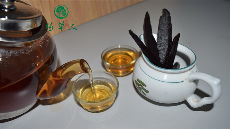 靈芝圖片（22）