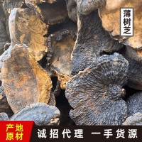 森林之愛野生薄樹靈芝批發(fā)一斤裝野生薄樹芝切片煮茶泡酒料煲湯料