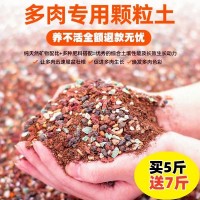 多肉土專用營養(yǎng)土顆粒肉肉植物鋪面石種植土透氣防爛根老樁控養(yǎng)