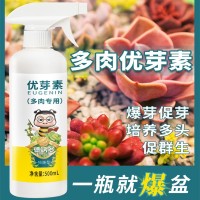 多肉專用促群生植物營(yíng)養(yǎng)液多肉植物水培綠植花盆盆栽鮮花用肥料土
