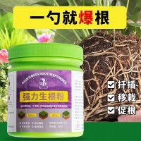 生根粉植物通用型水培綠植花卉盆栽擺攤花盆鮮花花瓶多肉專用大號(hào)
