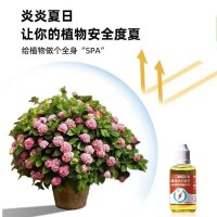 植物通用型活力素養(yǎng)花專用快速?gòu)?fù)活激活液促芽壯根多肉綠植育苗盤