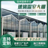 智能連棟玻璃溫室 生態(tài)餐廳 科研溫室 大棚骨架加工安裝生產(chǎn)