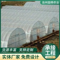 新型智能溫室大棚 暖棚 大棚骨架鋼管全套 農(nóng)業(yè)溫室