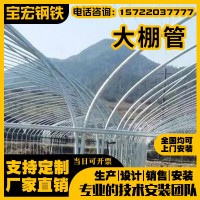 溫室養(yǎng)殖大棚外遮陽(yáng)蔬菜種植拱棚畜牧蔬果種植家用戶(hù)外大棚大棚管