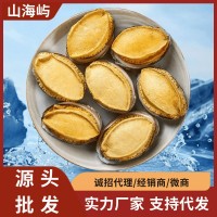 山海嶼海參 帶殼鮑魚干FD凍干鮑魚干貨批發(fā)鮑魚禮盒裝