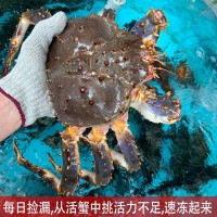 帝王蟹海鮮鮮活10斤大皇帝蟹長腳蟹3-9斤/只順豐廠家獨立站批發(fā)