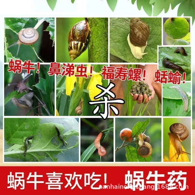 c4e29448-c5d3-4c2f-937b-a865fa