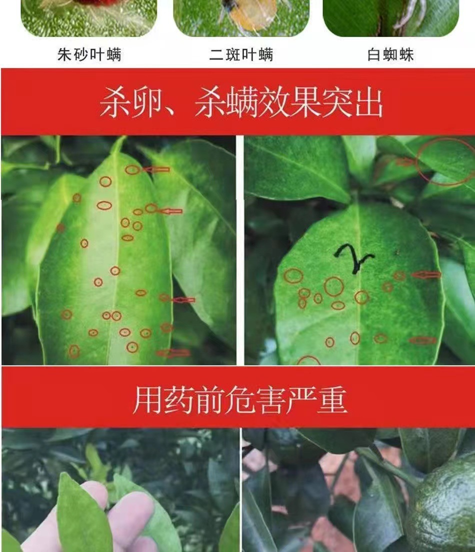 詳情9.jpg