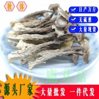 【基地直供】鹿茸菇鹿茸菌脆脆菇散裝批發(fā) 食用菌酒店食材