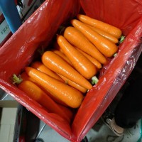 包郵10斤胡蘿卜水果蘿卜生吃新鮮蔬菜當(dāng)季整箱帶泥甜脆紅皮心