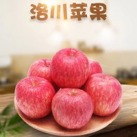 長(zhǎng)期供應(yīng)陜西洛川正宗紅富士蘋果新鮮水果5斤/10斤一件代發(fā)