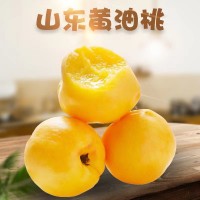 產(chǎn)地直發(fā)蒙陰露天黃桃黃金蜜桃黃毛桃新鮮現(xiàn)摘帶箱5斤裝