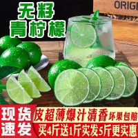 無籽青檸檬新鮮薄皮青檸一級(jí)無子香水檸檬小青檸奶茶維生素檸檬