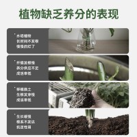 廠家批發(fā)快速生根液移栽花苗插芊花卉移植多肉植物爆根生根劑