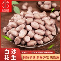 東北白沙花生米新鮮生花生廠家直銷分級(jí)各種規(guī)格冷庫(kù)保存