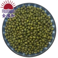 芽菜綠豆 芽綠豆 發(fā)芽綠豆 綠豆芽菜