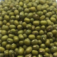 綠豆 用作 綠豆沙 綠豆餅 綠豆糕 綠豆爽 豆絲 粽子 月餅