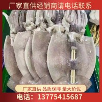 魷魚(yú)串批發(fā)大魷魚(yú)八爪魚(yú)鮮活冷凍須燒烤魷魚(yú)板串食品半成品批發(fā)