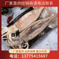 大魷魚(yú)整只新鮮冷凍大魷魚(yú)鮮魷魚(yú)阿根廷大魷魚(yú)優(yōu) 魷魚(yú)批發(fā)