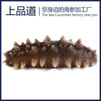 【海參工廠】即食海參批發(fā)遼刺參非干貨廠家直供一件代發(fā)一斤