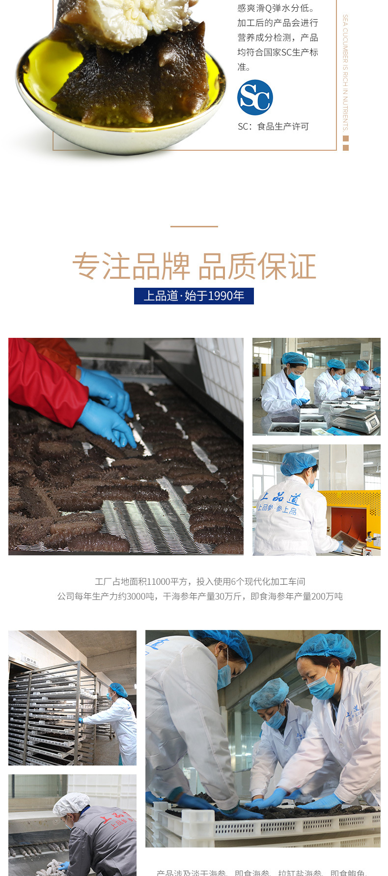 即食海參_04