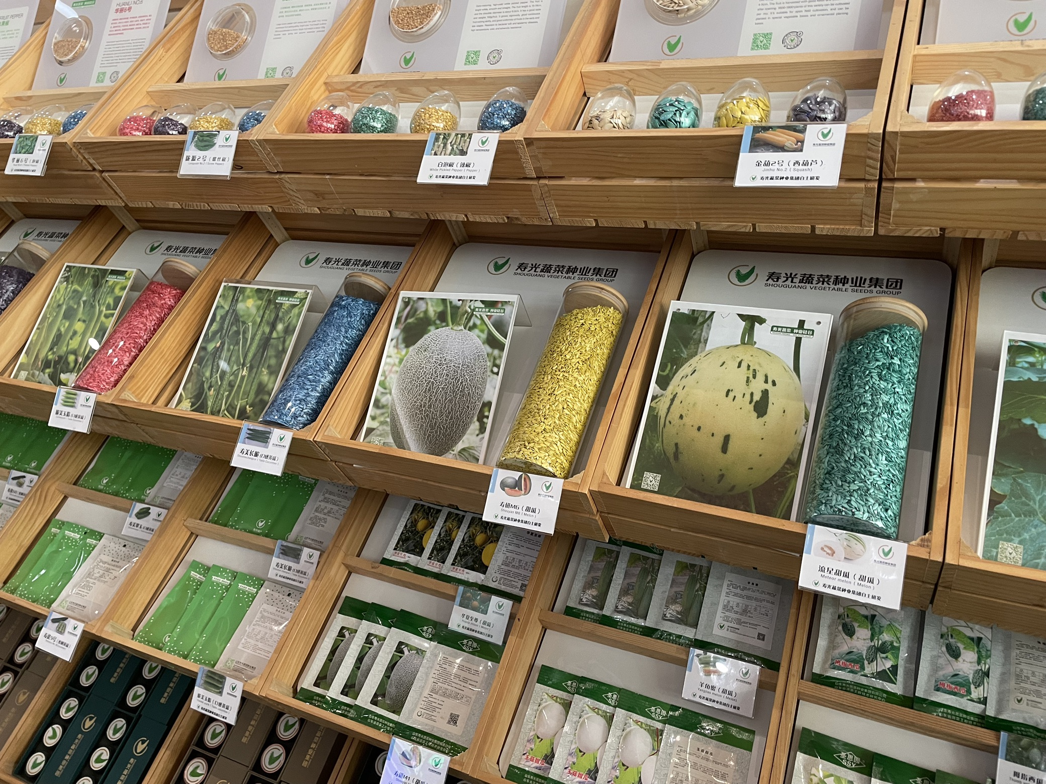 高質(zhì)量發(fā)展調(diào)研山東行丨從一顆種子到一盤(pán)好菜，壽光蔬菜產(chǎn)業(yè)這樣進(jìn)階