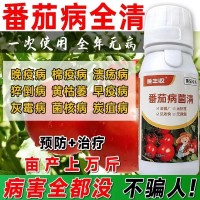 番茄病害專用藥番茄病菌清灰霉炭疽專用番茄專用清菌劑病全治全清