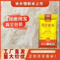 米鄉(xiāng)情月牙香米20斤晚稻現(xiàn)磨一級絲苗米 推薦企業(yè)采購商用10KG