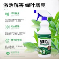 免稀釋植物營(yíng)養(yǎng)液生根液盆栽富貴竹綠葉移栽扦插綠植營(yíng)養(yǎng)發(fā)根肥料