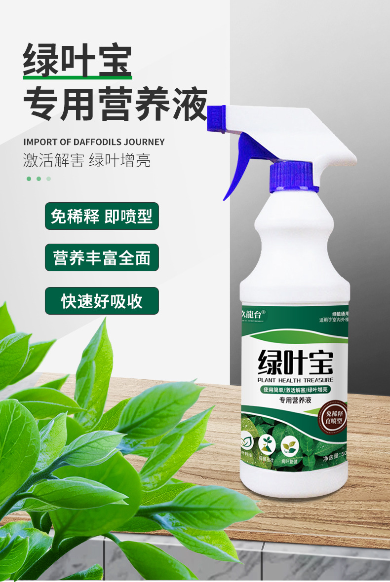 綠葉寶詳情_01.jpg