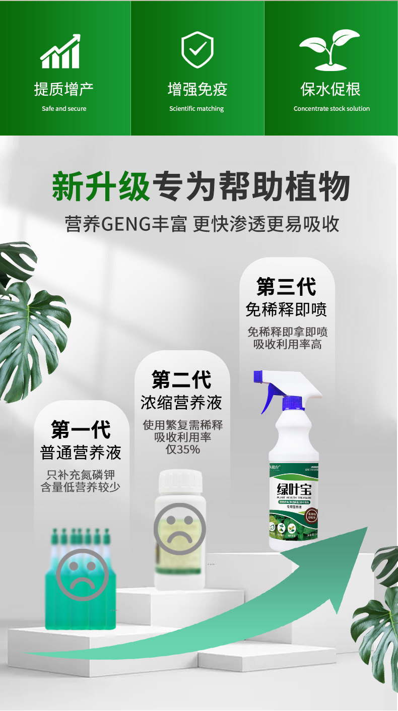綠葉寶詳情_06.jpg